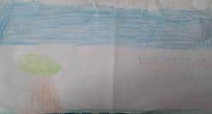 27-11-2024